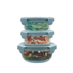 Cento 3IN1 GLASSLOCK FOOD STORAGE - ECOGS631RD/BG