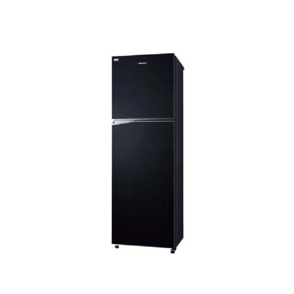 395L Inverter Energy Saving 2 Door Top Freezer Refrigerator with Blue Ag Hygienic Storage NR-TL381BPKM