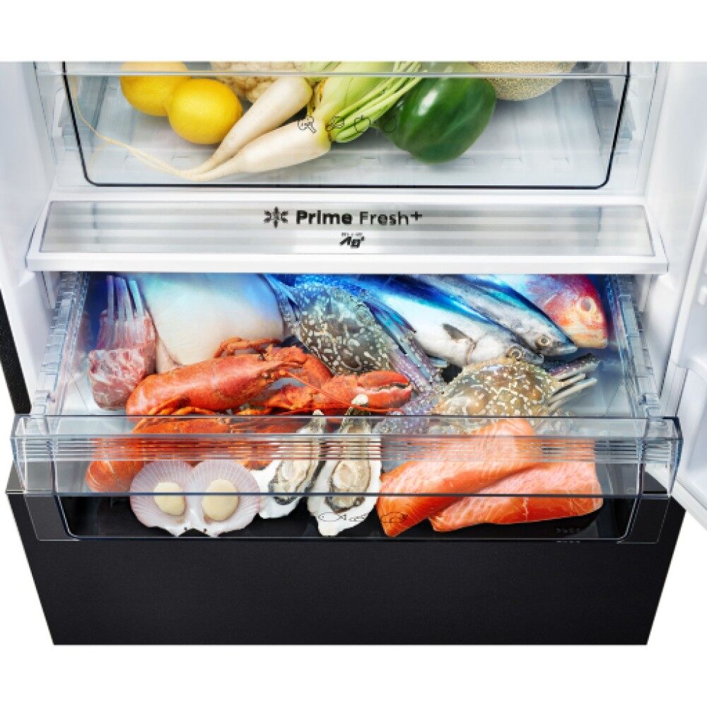 465L Inverter 2-Door Bottom Freezer Refrigerator with Black Glass Door NRBX471WGKM - Image 5