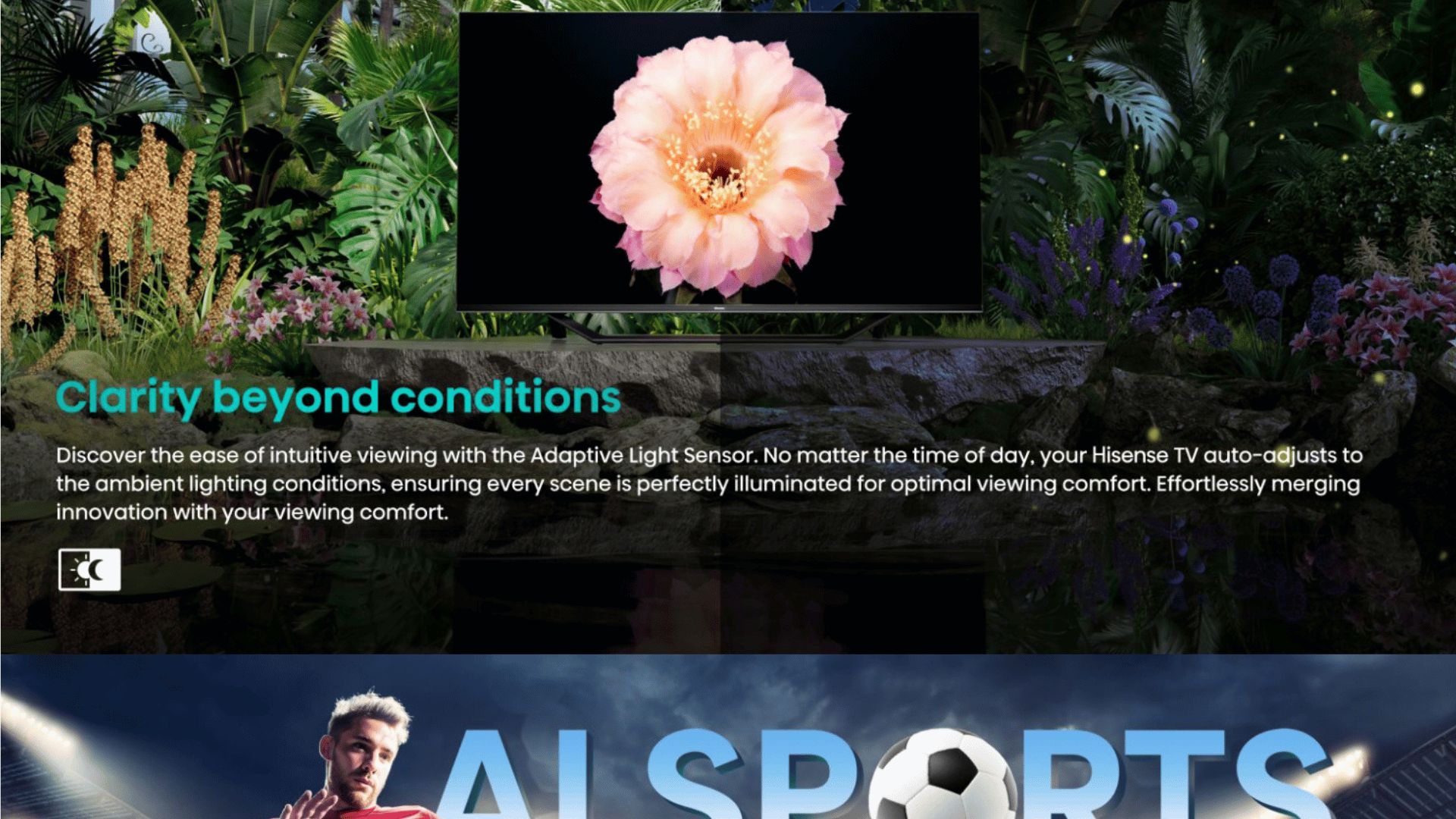 clarity beyond conditions