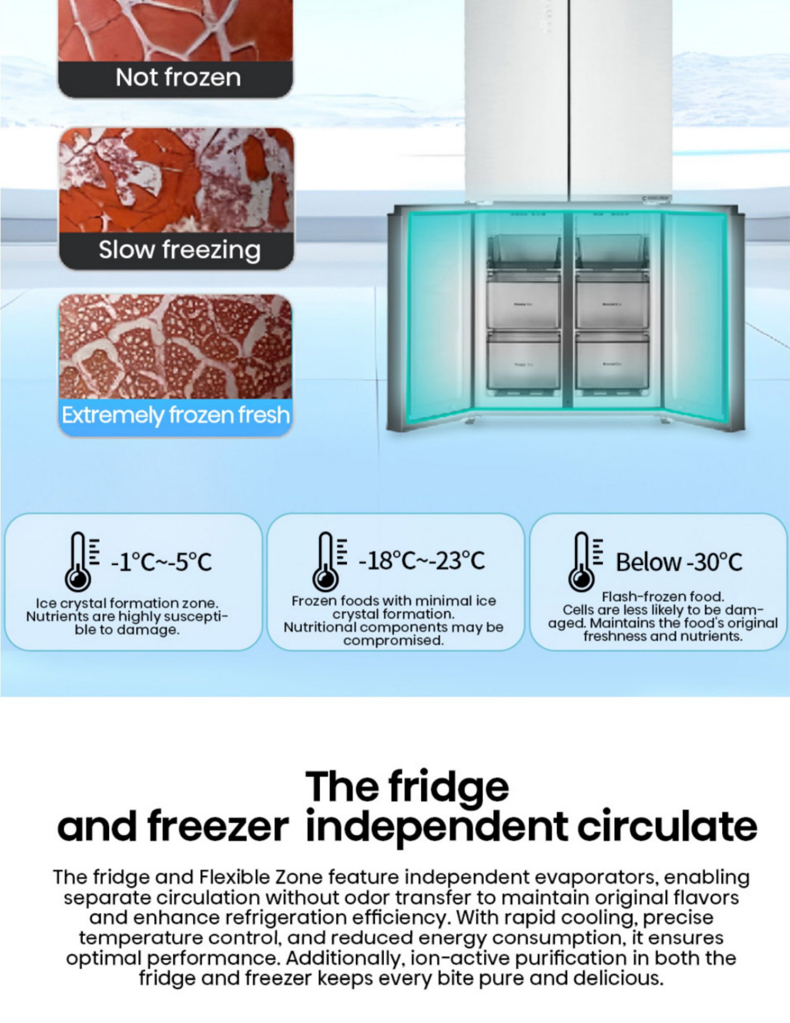 Hisense fridge interior with ion sterilization airflow