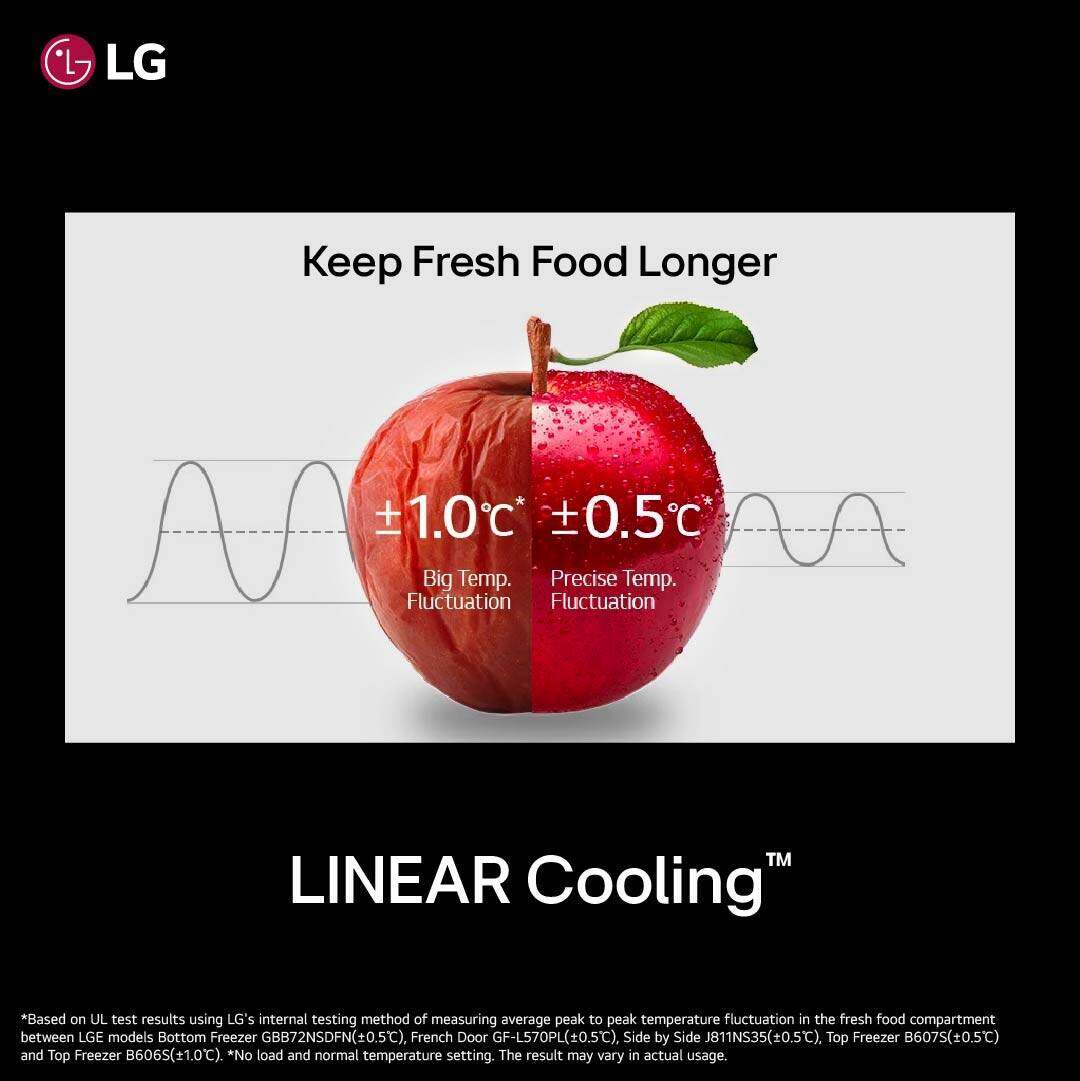 455L Bottom Freezer Refrigerator with DoorCooling+ - Image 4