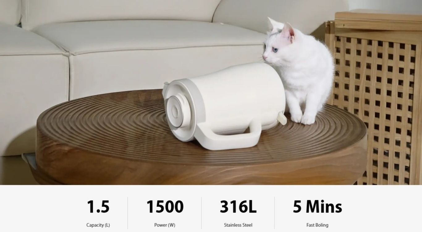 Leak-proof electric kettle placed safely beside a curious cat