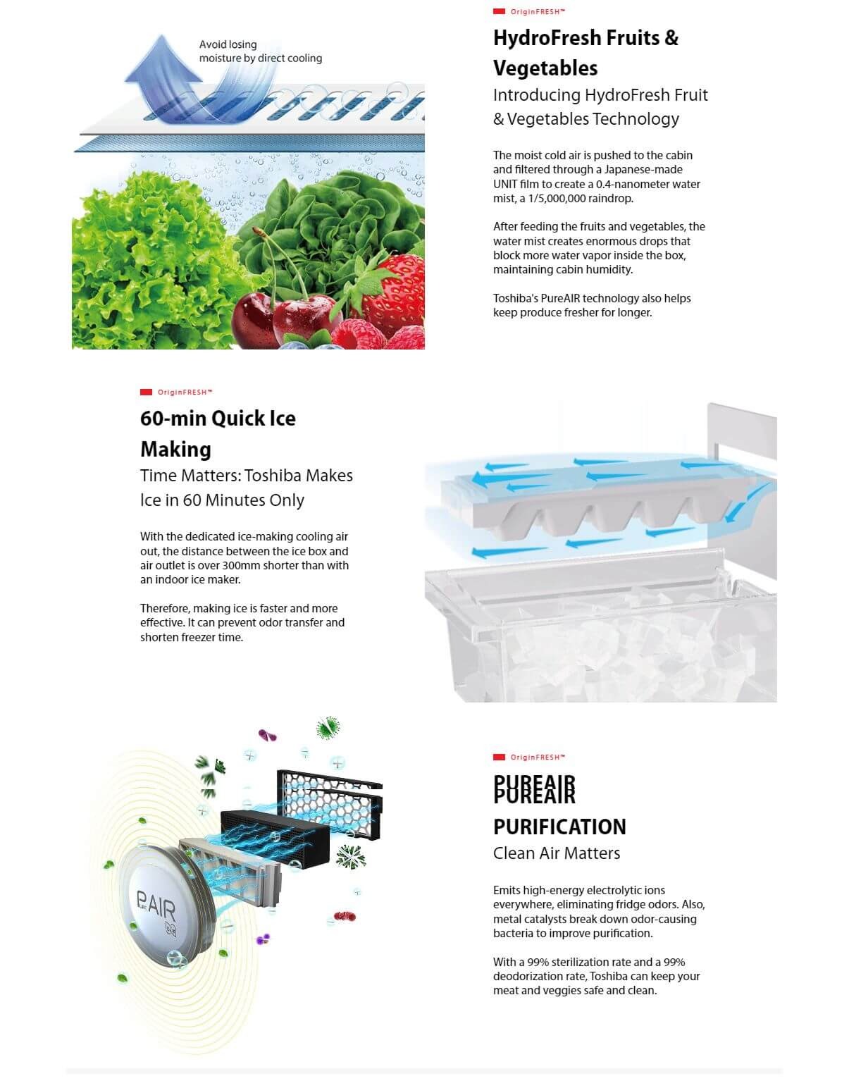 Multi-door Toshiba fridge with organized storage layout