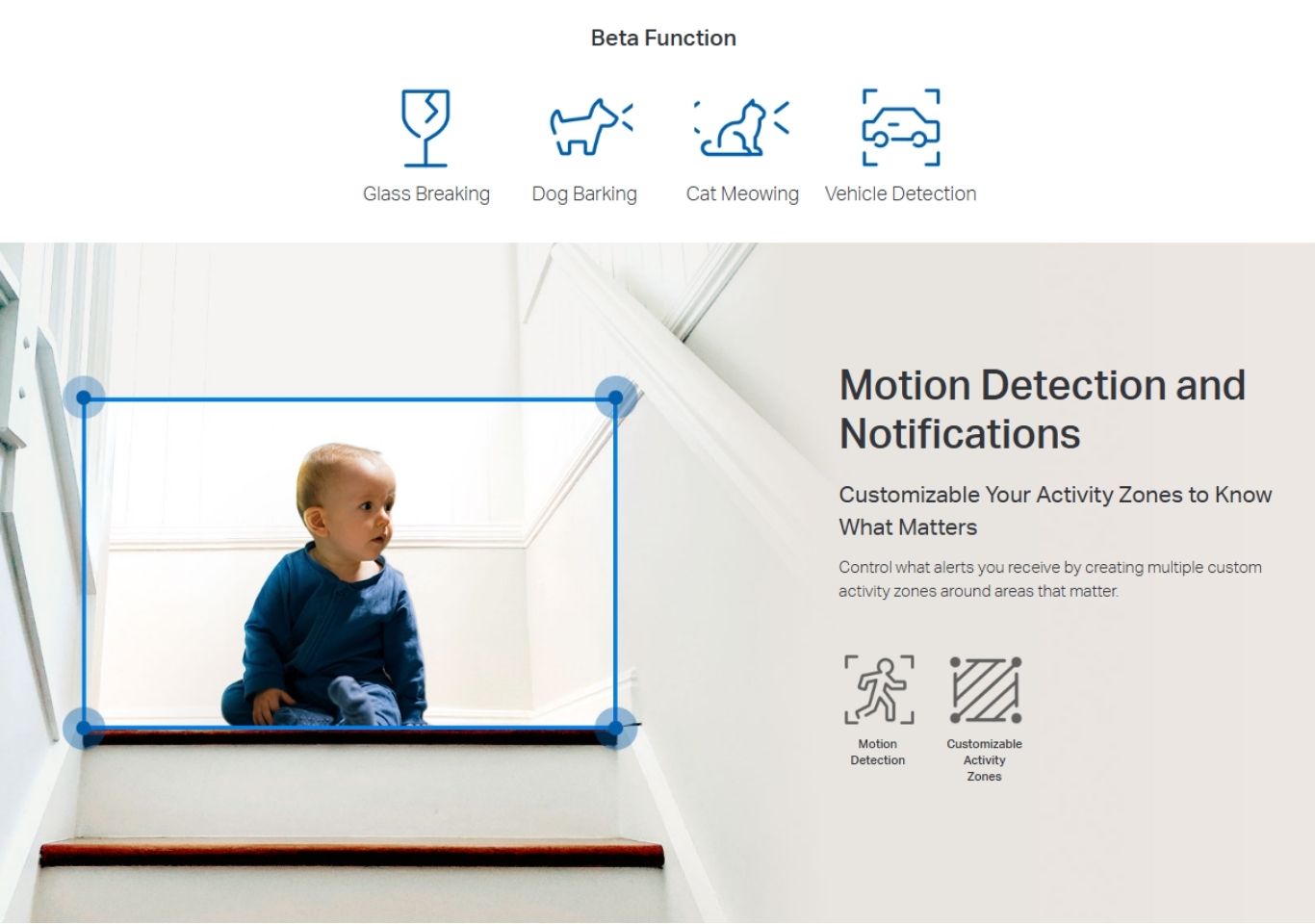 Motion detection with customizable activity zones