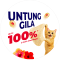 Untung Gila