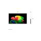 LG OLED AI B6 4K Smart TV (2026) 77 inch - Size