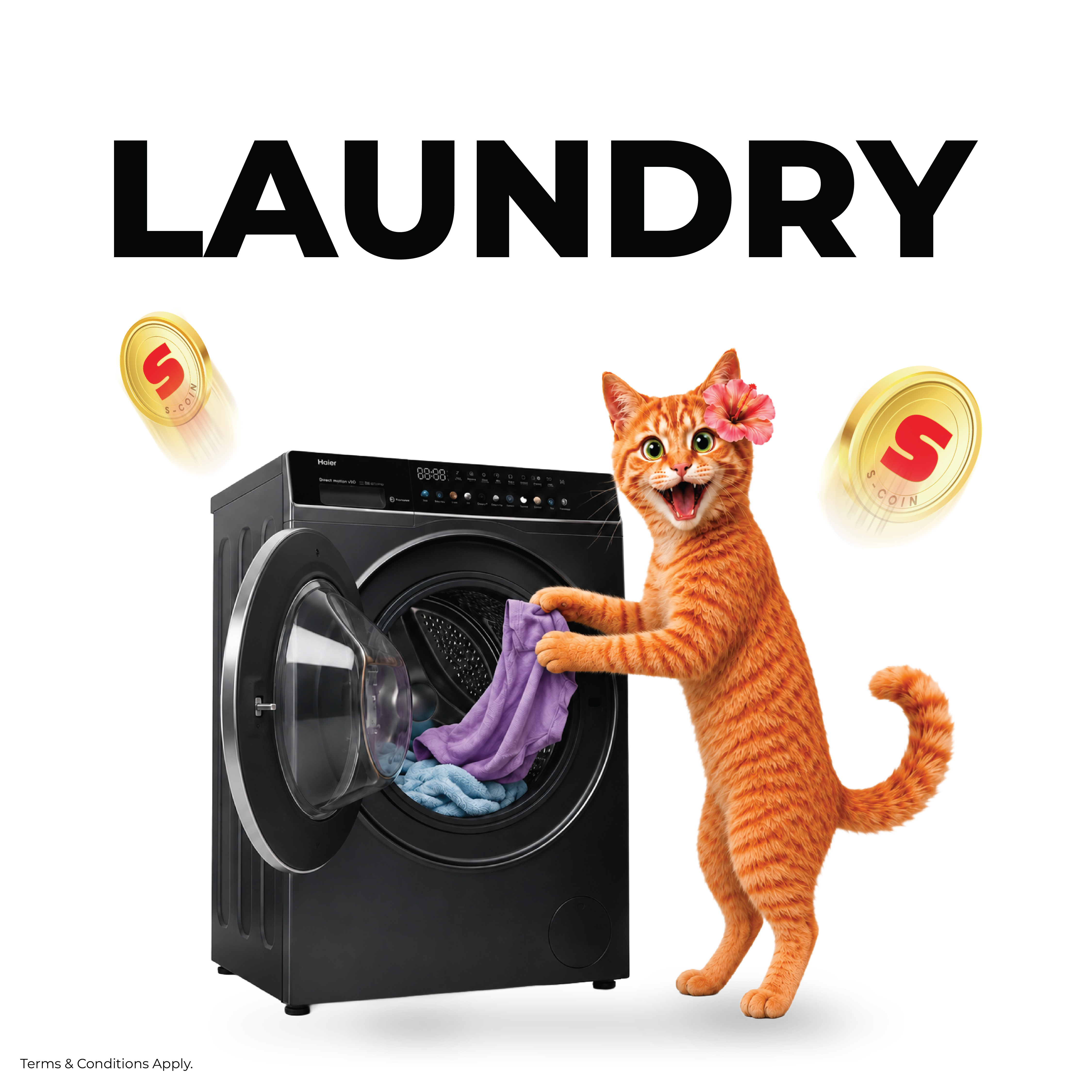 Untung Gila 30% Laundry