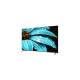 Sharp 65 inch 4K Ultra HD Google TV in Black - Angled Front View