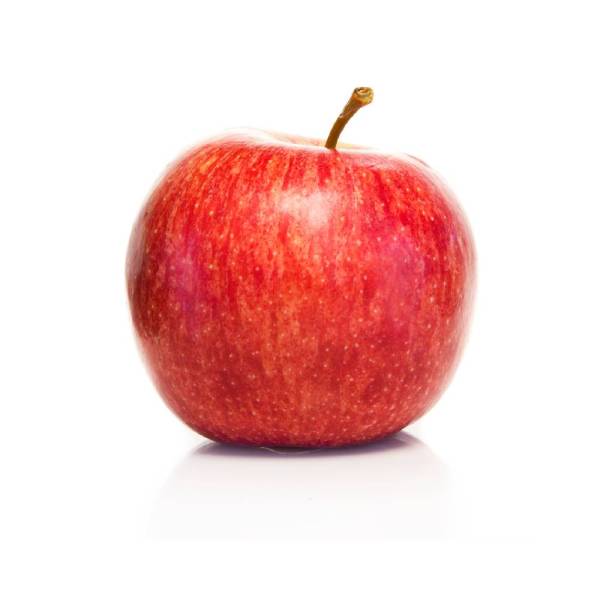 Test (Please do not buy!)